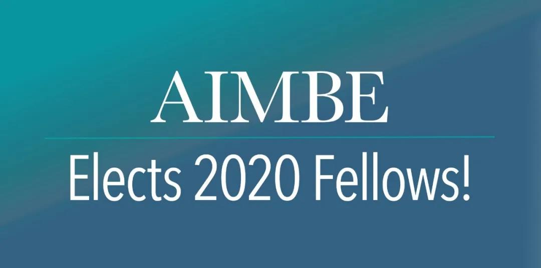 Professor Ouyang Hongwei inducted as fellow of AIMBE