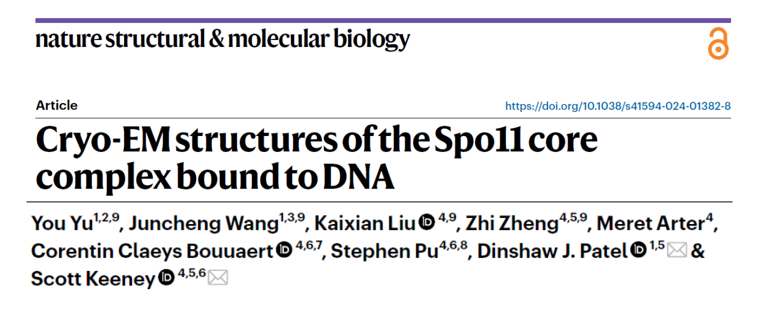 You Yu‘s group collaborated on a publication in Nature Structural & Molecular Biology, detailing the structure of the DNA-Spo11 core complex and the initiation mechanism of meiotic recombination