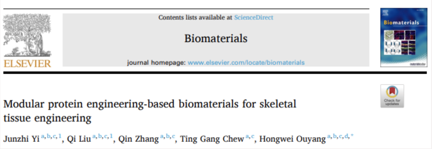 ZJE本科生暑期研训成果：在Biomaterials发文，探讨创造骨骼系统生物材料新范式