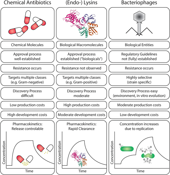 Sebastian Leptihn’s Research Team Published Back to Back Review Articles in Frontiers in Microbiology and Frontiers in Medicine