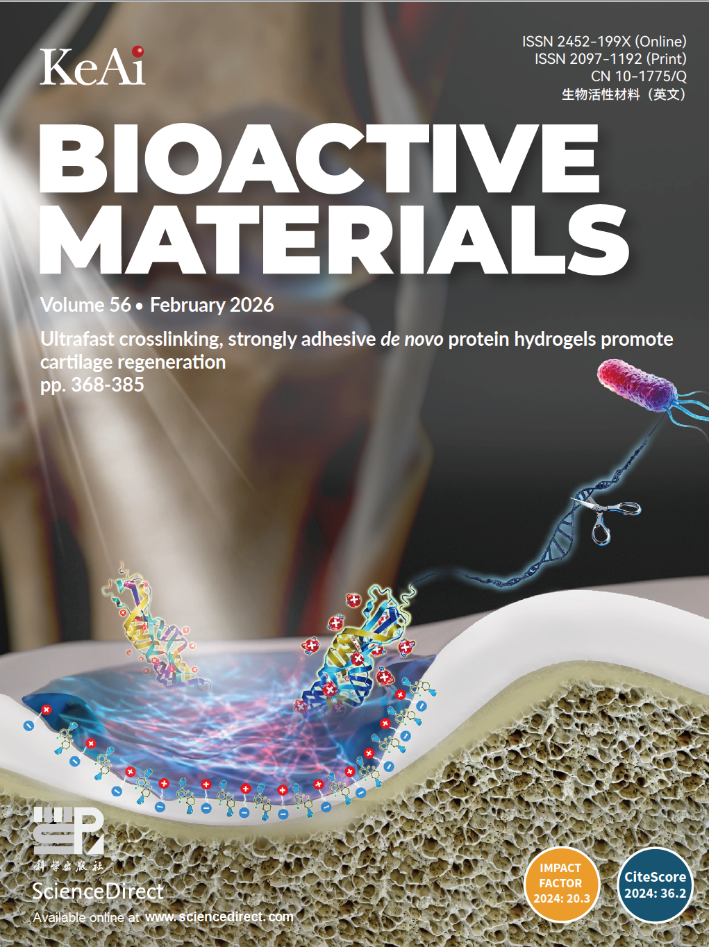 黄雯雯团队Bioactive Materials发文：从头设计的超快交联强粘附性蛋白质水凝胶促进软骨再生