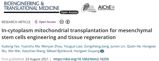 我院博后姚旭东博士：给细胞做“线粒体移植术”，高通量构建超能干细胞