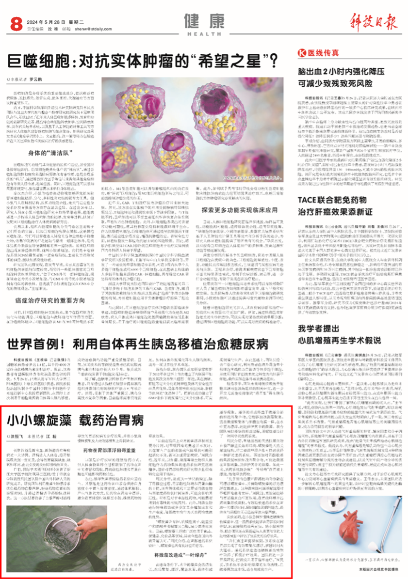 Science and Technology Daily Special Report on Professor Zhou Min's Team: Tiny Spirulina, Big Cure for Gastric Diseases
